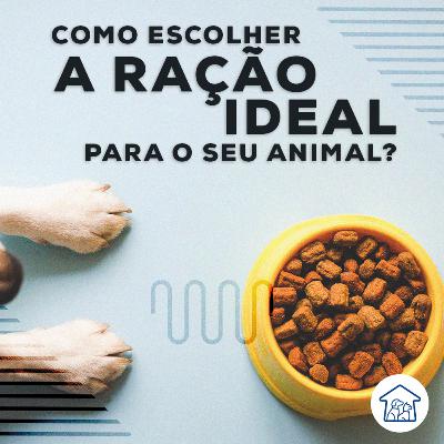 Como escolher a ração ideal para o seu animal? Como escolher a ração ideal para o seu animal?