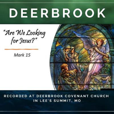 Are We Looking for Jesus? - Easter 2022