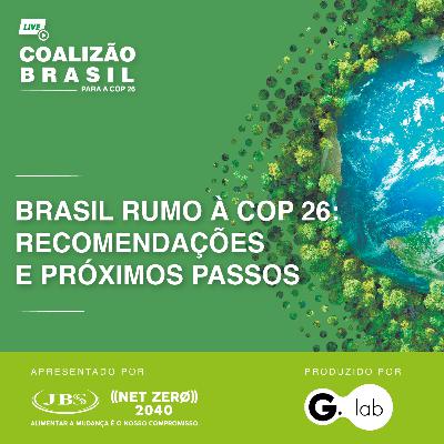 Brasil na COP 26: Recomendações e próximos passos