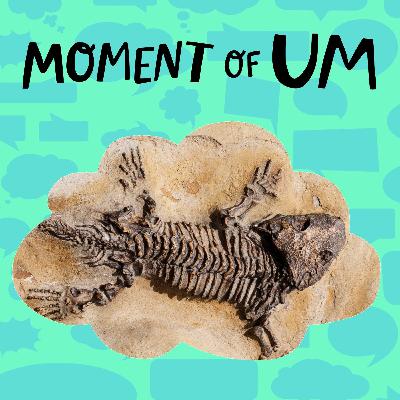 How do scientists know how old fossils are? How do scientists know how old fossils are?