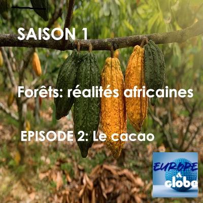 Forêts: réalités Africaines- Episode 2: le cacao