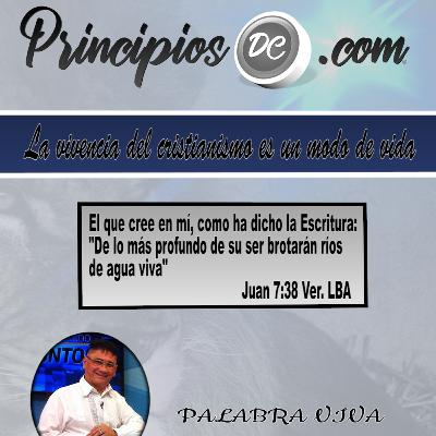 La Vivencia del Cristianismo es un Modo de vida