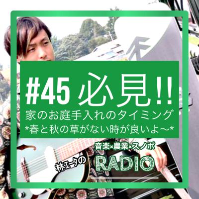 #45 必見‼︎家のお庭手入れのタイミング #45 必見‼︎家のお庭手入れのタイミング