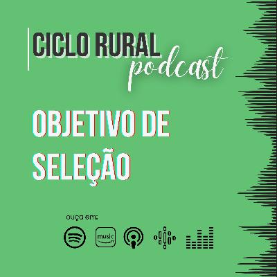 #013 - Objetivo de seleção