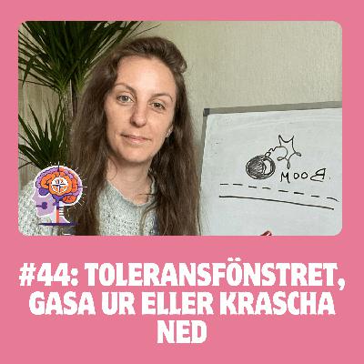 #44 Toleransfönstret: Gasa ur eller krascha ned