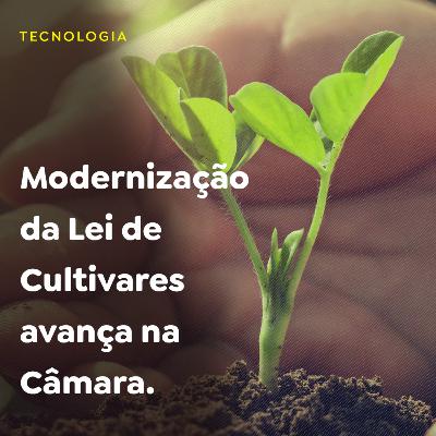 Modernização da Lei de Cultivares avança na Câmara