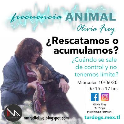 FRECUENCIA ANIMAL 9 CON OLIVIA FREY, ¿RESCATAMOS O ACUMULAMOS?