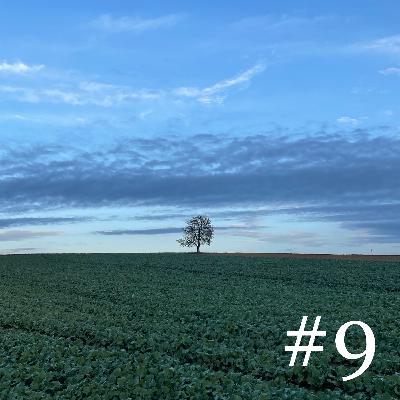 #9 - Avoir un regard bienveillant sur ce qu'on a déjà accompli