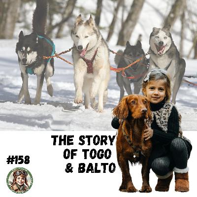 The Story of Togo & Balto (a special episode for Zack, Owen, and Gabriel)