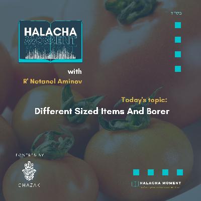 Different Sized items And Borer - Halacha Moment
