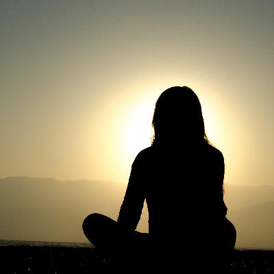 The Dhamma Is Directly Visible The Dhamma Is Directly Visible