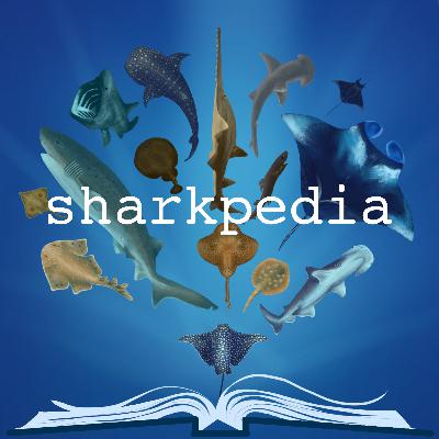 Ecosystem Wide Research via Animal Video Recordings with Dr. Taylor Chapple