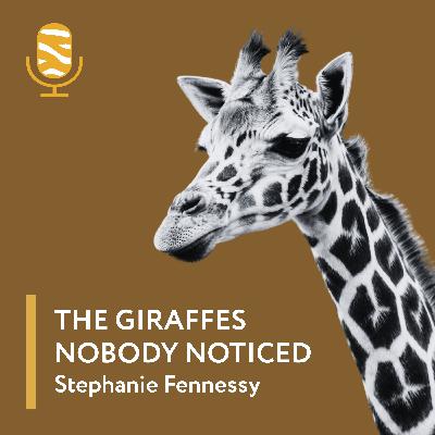The Giraffes Nobody Noticed