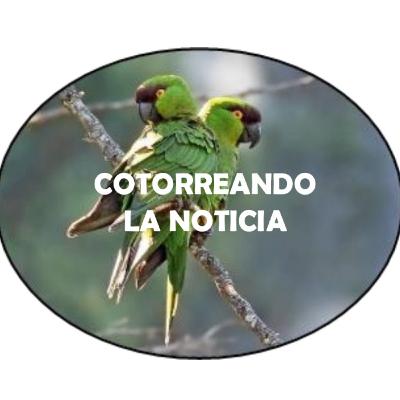 COTORREANDO LA NOTICIA - COTORRA SERRANA ORIENTAL
