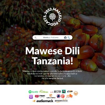 Zao la Chikichi lilivyokua dili Tanzania Zao la Chikichi lilivyokua dili Tanzania