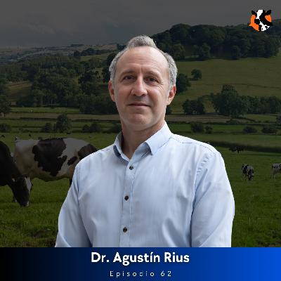 #62 - Aditivos y estrés térmico: Sistema inmune e inflamación en terneros (Parte 2) - Dr. Agustín Rius #62 - Aditivos y estrés térmico: Sistema inmune e inflamación en terneros (Parte 2) - Dr. Agustín Rius