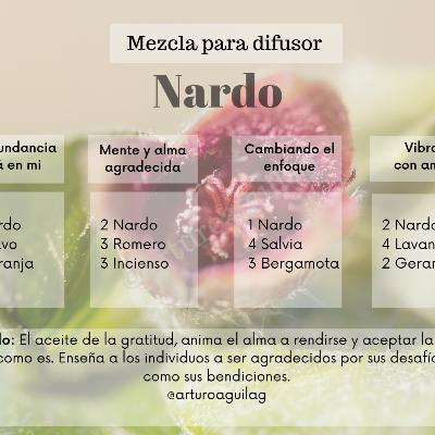 Nardo” El aceite de la gratitud”