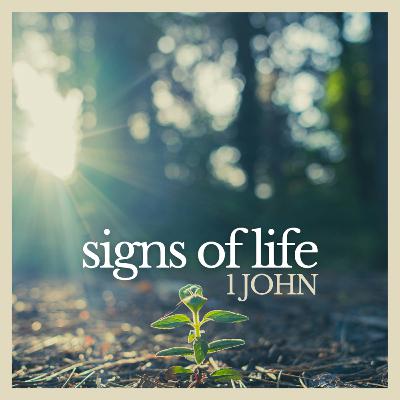 What Does It Mean To Be a Child of God? | 1 John 2:29-3:10 What Does It Mean To Be a Child of God? | 1 John 2:29-3:10