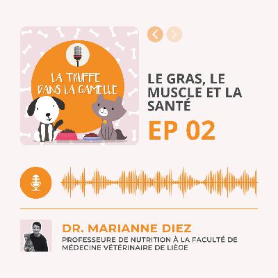 Le gras, le muscle et la santé