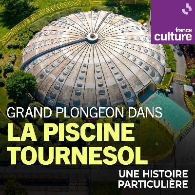 Grand plongeon dans la piscine Tournesol 2/2 : Un ovni dans le paysage