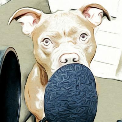 2024 Reefer Madness 2024 Reefer Madness