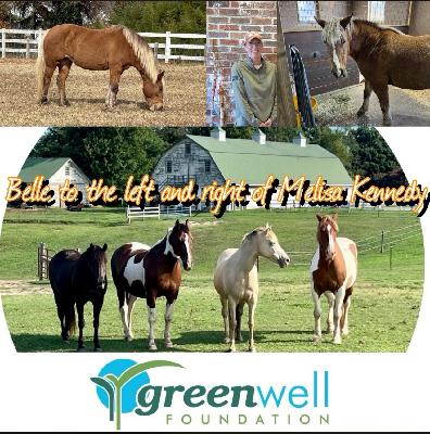Horses Know Us Best: Visit to Greenwell Foundation in Hollywood, Maryland