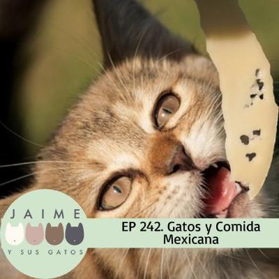 Ep 242 gatos y comida mexicana