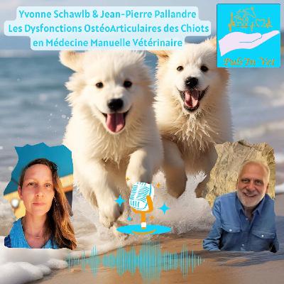 Les Dysfonctions OstéoArticulaires des Chiots en Médecine Manuelle Vétérinaire - 1/2