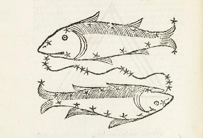 Ep 22: The Slippery Fish Eclipse with Bronwyn Simons