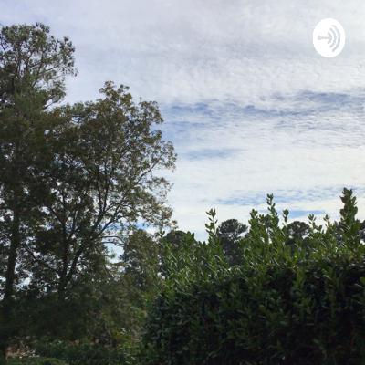 Started recovery classes today.