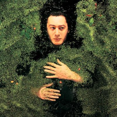 Alain Bashung, épisode 7 : Fantaisie Militaire (1998)