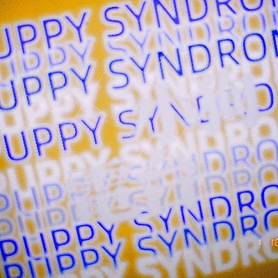 小狗电台第06期