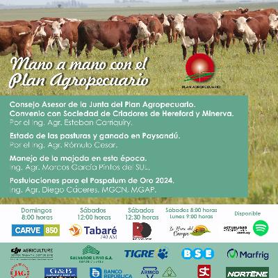 Insitucional. Convenios. Pasturas y ganado. Manejo de la majada. Postulaciones Paspalum de Oro.