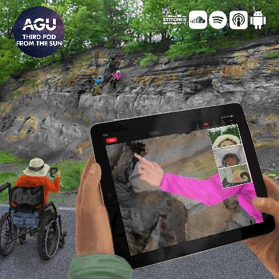 Fieldwork rocks: Can it be accessible for all?