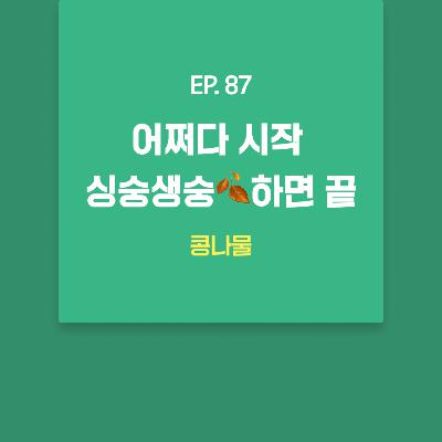 콩나물 - 어쩌다 시작 싱숭생숭🍂하면 끝 [EP.87]