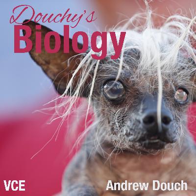 Episode 13: Unnatural selection