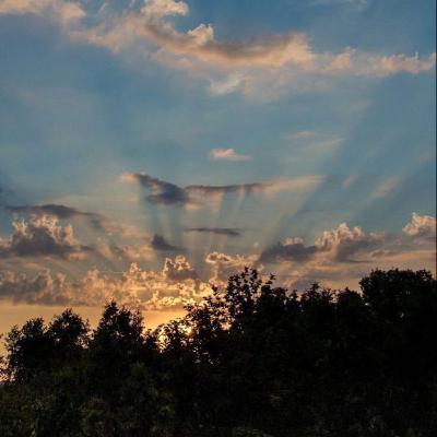 Y Dios dijo, Dios llamó y Dios vió Y Dios dijo, Dios llamó y Dios vió