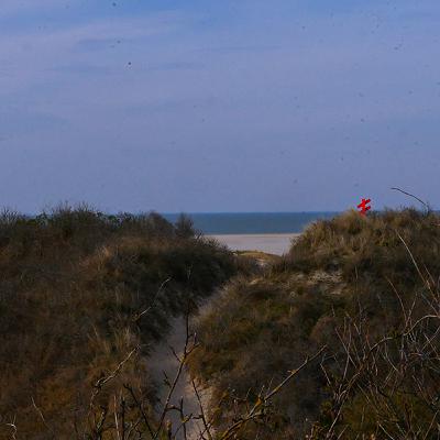 Spring Ocean Sounds | Wave sounds for relaxation, sleep or concentration on studying