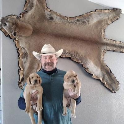 Cal Allen: Lessons From a Life Hunting Lions & Bears With Cur Dogs Episode 1