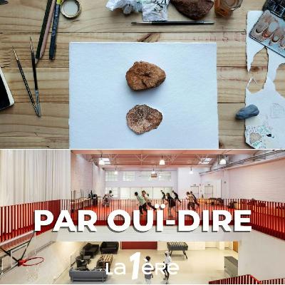 Façons de Voir: Aline Forçain à la fondation SAFFCA / Le CUBE, Centre urbain d’expression Façons de Voir: Aline Forçain à la fondation SAFFCA / Le CUBE, Centre urbain d’expression