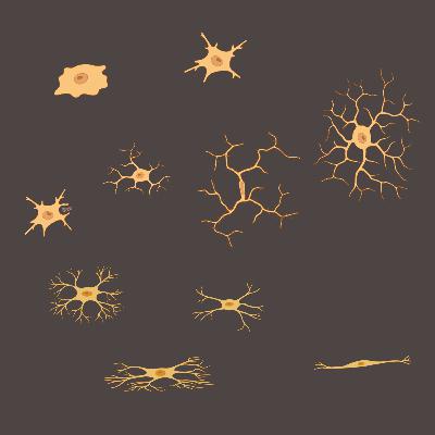 Brain Clean-Up Crew Gone Rogue: The Double-Edged Sword of Microglia in Alzheimer's