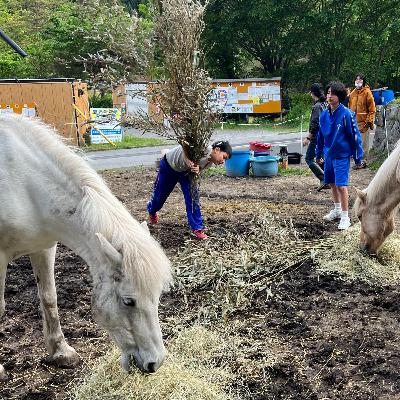 095 頭より先に動く身体〜馬と子どもが教えてくれた「言葉を超える力」（後編）
