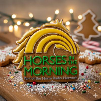 Listener Holiday Songs and Poems for December 22, 2025 by WERM Flooring