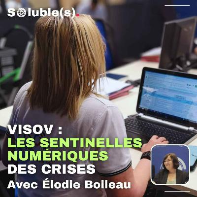 VISOV : Les sentinelles numériques des crises - Avec Élodie Boileau