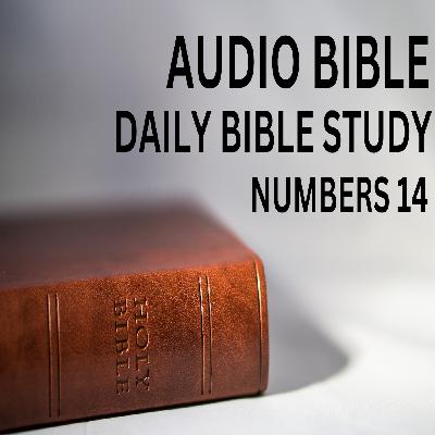 Book of Numbers: Chapter 14: Isreal Refuses To Enter Canaan. Death Sentence Issued Against Rebels. Moses Intercedes For Israel.
