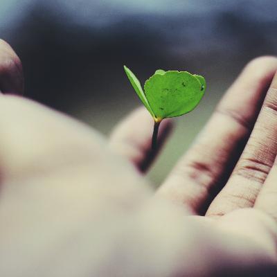 Vivir por el Espíritu - Charles Spurgeon