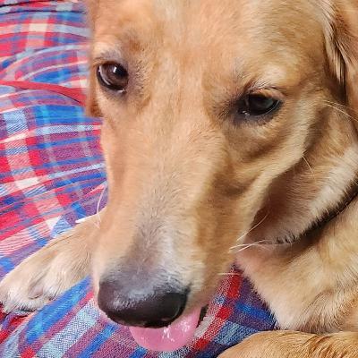 Wonder Pets - Chapter 14 - No Way!!