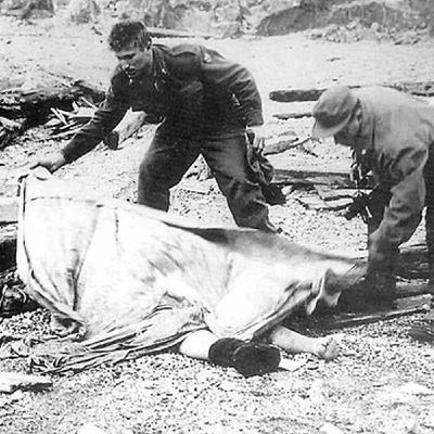 Il Vajont e gli Alpini Il Vajont e gli Alpini
