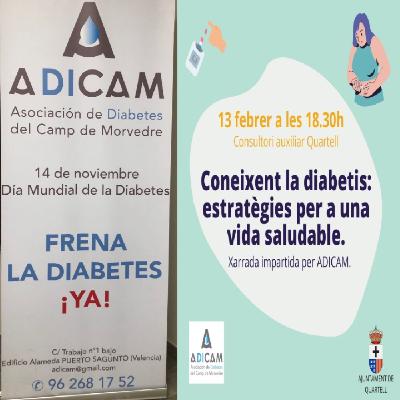 ADICAM "Coneixent la diabetis: estratègies per una vida saludable"