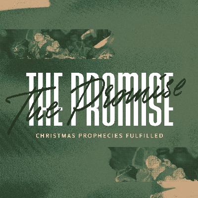 Jesus Son of Man Daniel 7